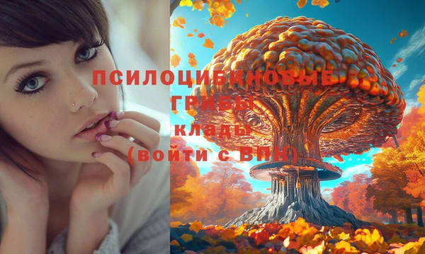 наркотики Бородино