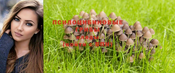 наркотики Бородино