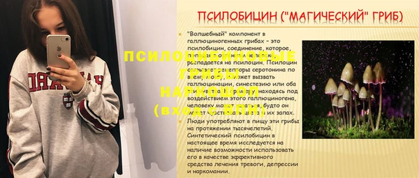 наркотики Бородино