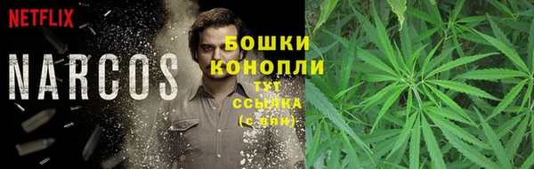 наркотики Бородино